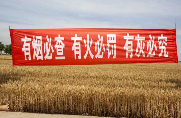 黑龍江秸稈利用，小秸稈變成大生意