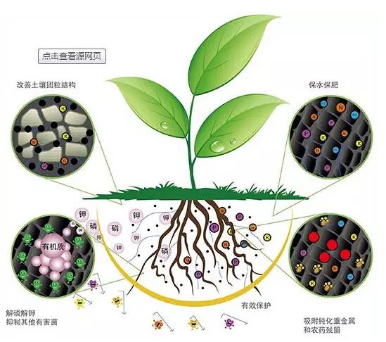科學(xué)施用生物菌肥好處多多！