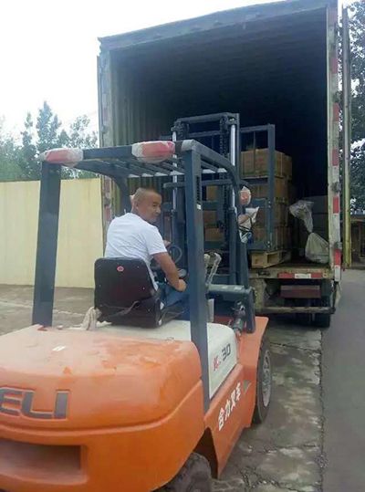 誘蟲(chóng)板出貨，發(fā)貨現(xiàn)場(chǎng)圖5