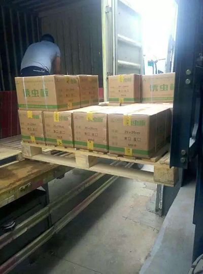 誘蟲(chóng)板出貨，發(fā)貨現(xiàn)場(chǎng)圖4