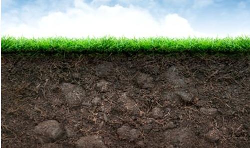 什么是微生物肥料 _ 微生物肥料的作用 