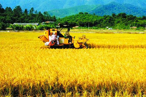 河南有機肥生產(chǎn)設備_雞糞有機肥生產(chǎn)設備_堆肥翻拋機