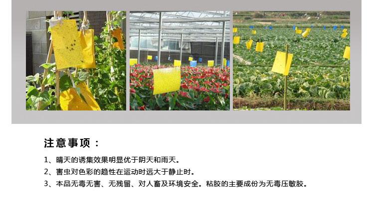 采購粘蟲板為什么選擇我們？粘蟲板價(jià)格