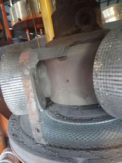 有機肥平模擠壓造粒機局部細節(jié)