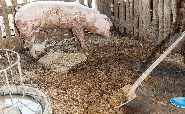 2019年湖北省農(nóng)機購置補貼政策（含有機肥設(shè)備補貼）