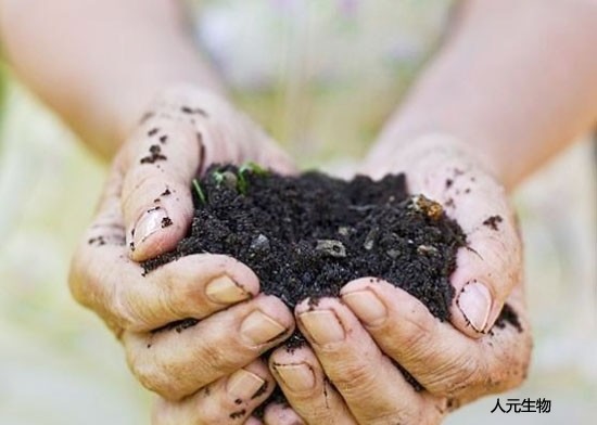 使用土壤調(diào)理劑時(shí)需要注意哪些？