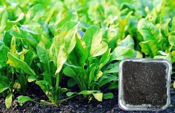 生物有機(jī)肥料好用嗎，都有哪些作用？
