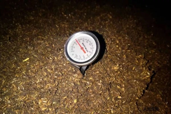 有機(jī)肥應(yīng)該發(fā)酵多少天，需要經(jīng)歷幾個(gè)階段？