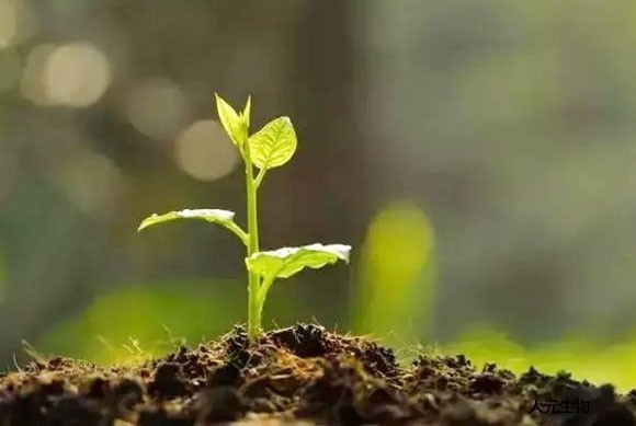 什么是有機(jī)肥？施用有機(jī)肥有哪些具體作用？