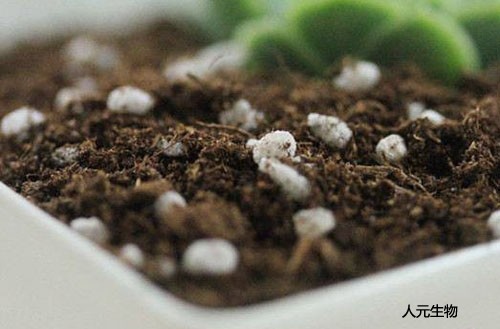 有機(jī)肥生產(chǎn)廠家教你如何鑒別有機(jī)肥的品質(zhì)？