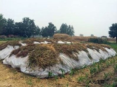 雞糞是怎么發(fā)酵的？雞糞有機(jī)肥發(fā)酵的具體方法和步驟