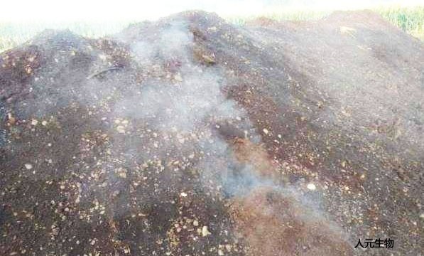 秸稈腐熟劑的作用及使用技術(shù) 秸稈腐熟劑的作用及使用技術(shù)