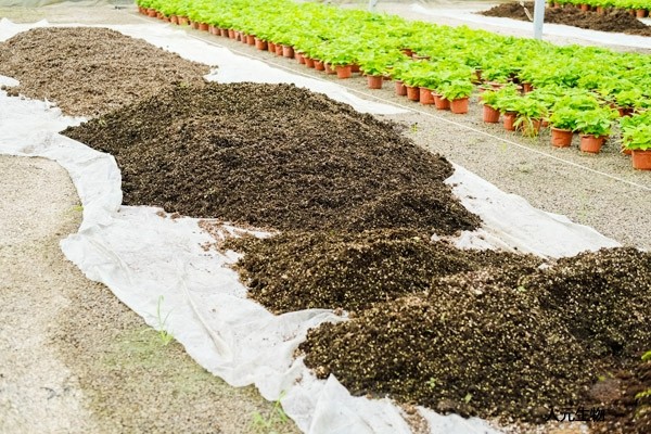 雞糞如何發(fā)酵有機肥，怎么施用？