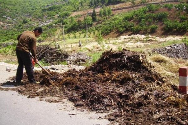 果園有機(jī)肥怎么施用效果才好？