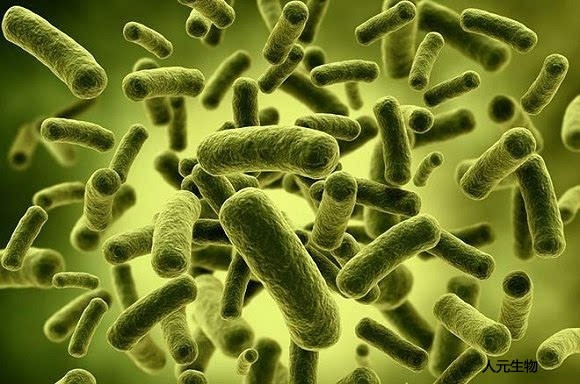 微生物菌肥料有哪些種類？