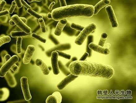 未腐熟的有機(jī)肥的副作用是什么？