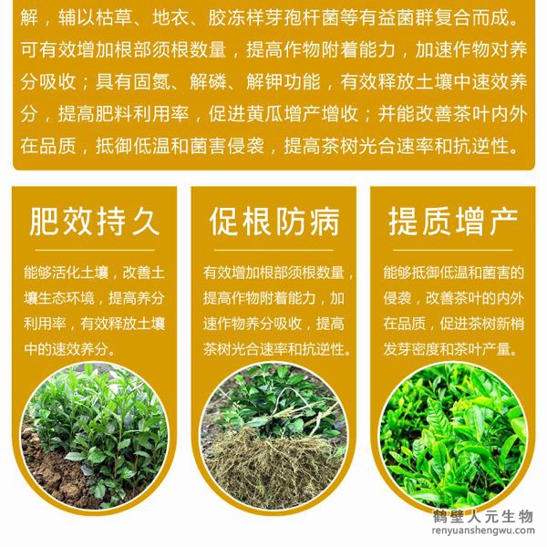 有效的抵御低溫和菌害的侵襲；同時(shí)，使用本品能在一定程度上降解或減少茶葉中的農(nóng)殘及重金屬含量，并能改善茶葉的內(nèi)外在品質(zhì)。使用本品種植的茶葉在氨基酸、茶多酚和咖啡因的含量上都有提高。
