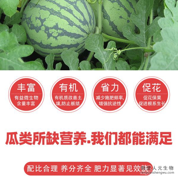 提高肥料利用率，增加瓜類產(chǎn)量，提高授粉率和坐瓜率，減少生理性落花落果，使幼瓜迅速增大；成熟果實(shí)個(gè)大均勻、果肉密實(shí)、色澤鮮艷、嬌嫩多汁、口感好、甜度高、提高品質(zhì)，增加產(chǎn)量，減少瓜類土傳病害發(fā)生蔓延。