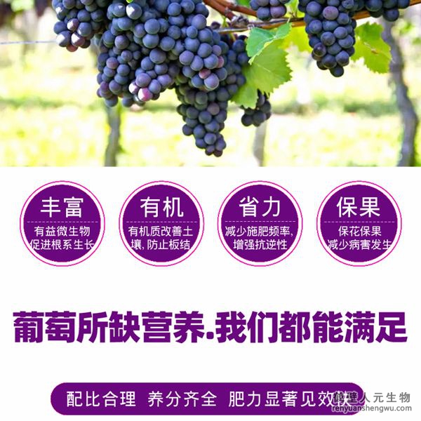 富含的有益菌具有固氮、解磷、解鉀功能，有效釋放土壤中的速效養(yǎng)分，提高肥料利用率，增加葡萄產(chǎn)量，提高葡萄抗逆能力，減少霜霉病、白粉病、炭疽病的發(fā)生。