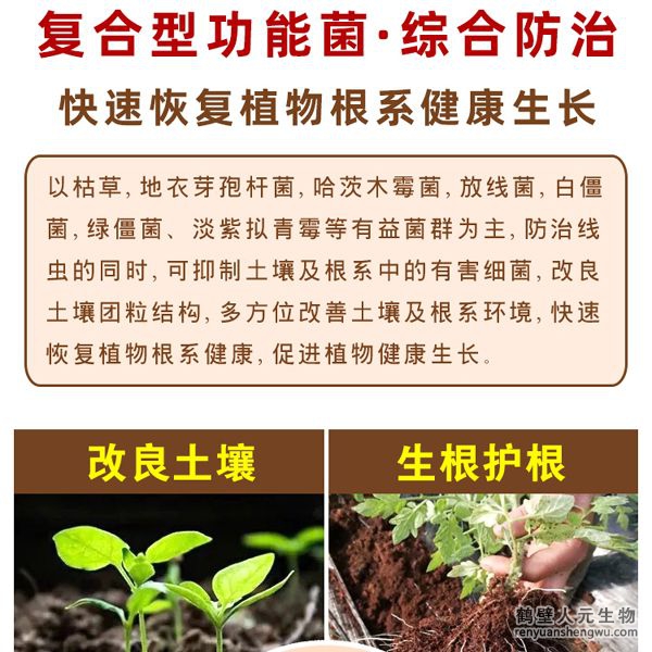 通過營養(yǎng)競爭、重寄生、細(xì)胞壁分解酵素、以及誘導(dǎo)植物產(chǎn)生抗性等多重機(jī)制，通過分泌胞外酶溶解細(xì)胞壁，穿透寄主菌絲，吸取營養(yǎng)，進(jìn)而將病原菌殺死，具有保護(hù)雙重功效。有效防止土傳病害真菌、細(xì)茵、病毒等病菌，具有廣譜高效、安全長效，無殘留等特點(diǎn)。特別加入中微量元素、核苷酸、整合植物蛋白，生根因子，抗病抗逆因子，可提高作物產(chǎn)量，增產(chǎn)15-20%，蔬菜瓜果增產(chǎn)30%。