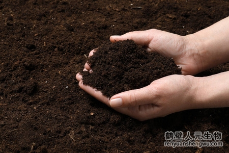 枯草芽孢桿菌在土壤中起到的作用？